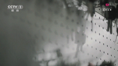 语言.gif